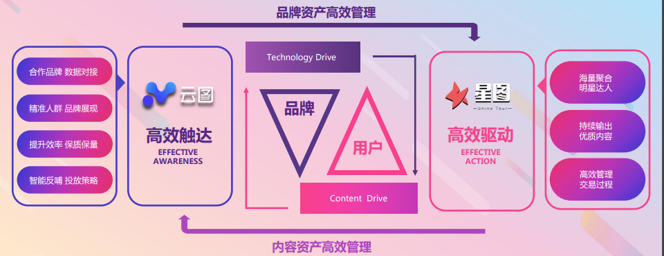 抖音品牌管理 19.png